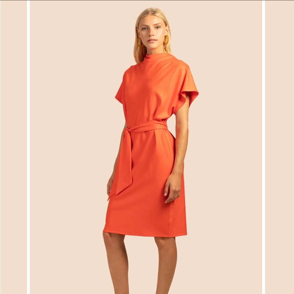 Trina Turk Jubilation Dress